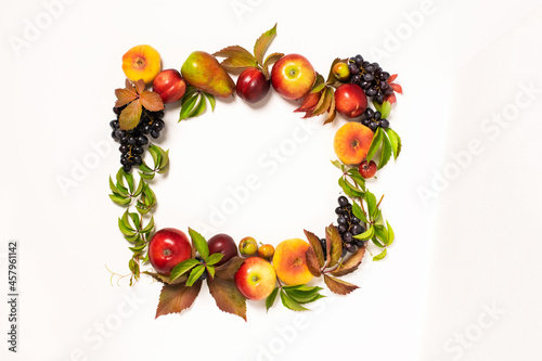 Autumn fruits apples pears grapes fallen leaves lined with frame white background. Thanksgiving harvest concept