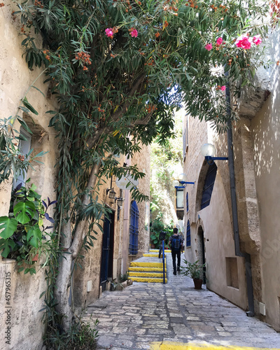 Scenic street alley view of historic houses and buildings in Old Town downtown Yaffa Jaffa  Israel near Tel Aviv with romantic backstreets  parks and medieval facades and skyline