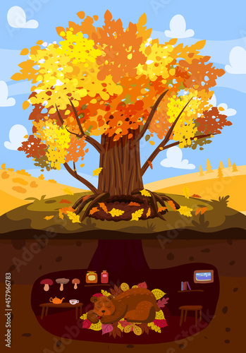 Autumn tree colorfull, cute Bear is sleeping in a burrow, hole. Fall background rural countryside landscape, yellow orange leaves, poster, banner. Vector illustration cartoon style