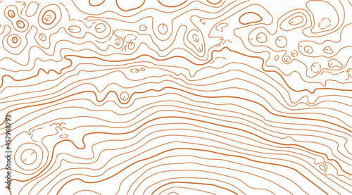 Abstract vector topographic map on white background