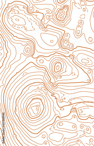 Abstract vector topographic map on white background