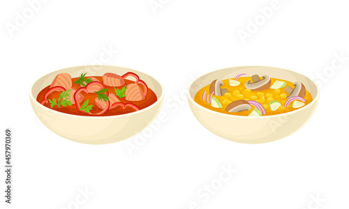Served on Plate Dish with Vegetable Soup and Tomato Broth with Salmon Slabs Vector Set