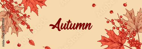 Horizontal Colorful Autumn design with leaves and berries. Hand drawn vector illustration. Hello Autumn