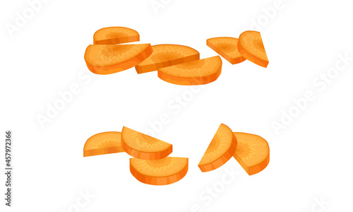Sliced Carrot as Orange Root Vegetable Vector Set