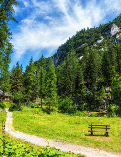 Wooden bench in the park.