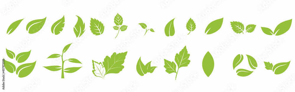 Leaf icons set ecology nature element, green leafs, environment and nature eco sign. Leaves on white background – vector