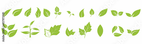 Leaf icons set ecology nature element, green leafs, environment and nature eco sign. Leaves on white background – vector