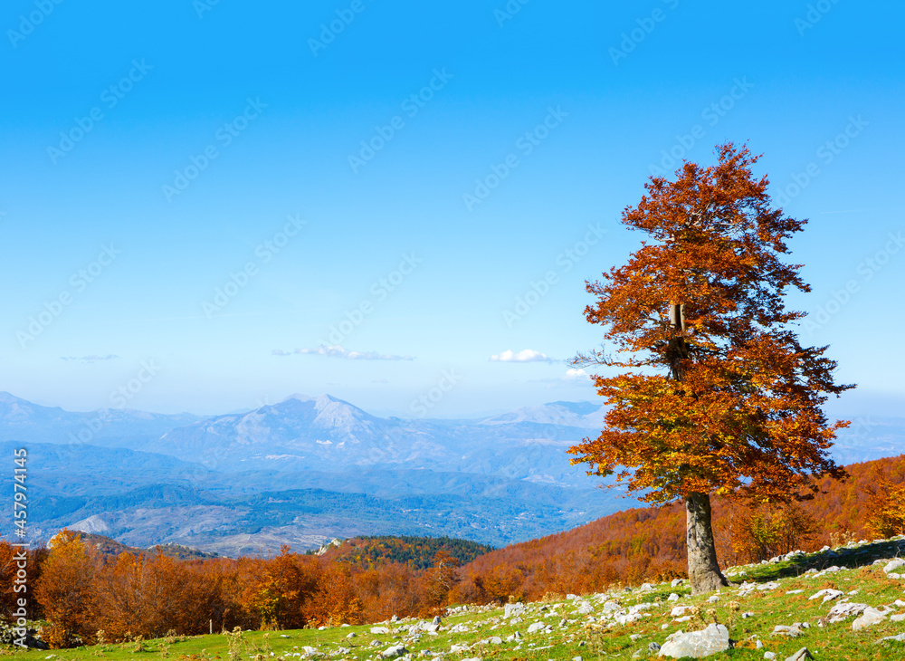 Fototapeta premium Colorful mountain landscape in sunny autumn day. View from Serra Di Crispo, Pollino National Park, southern Apennine Mountains, Italy.