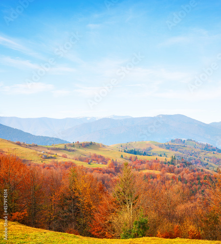 Colorful mountain landscape in sunny autumn day  Carpathian Mountains  Zakarpattia Oblast  Ukraine.