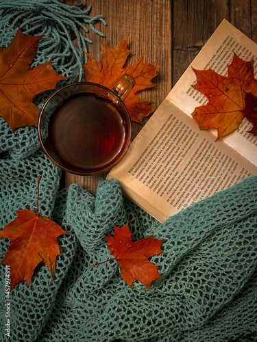 a cup of tea book autumn © Анна Карпухина