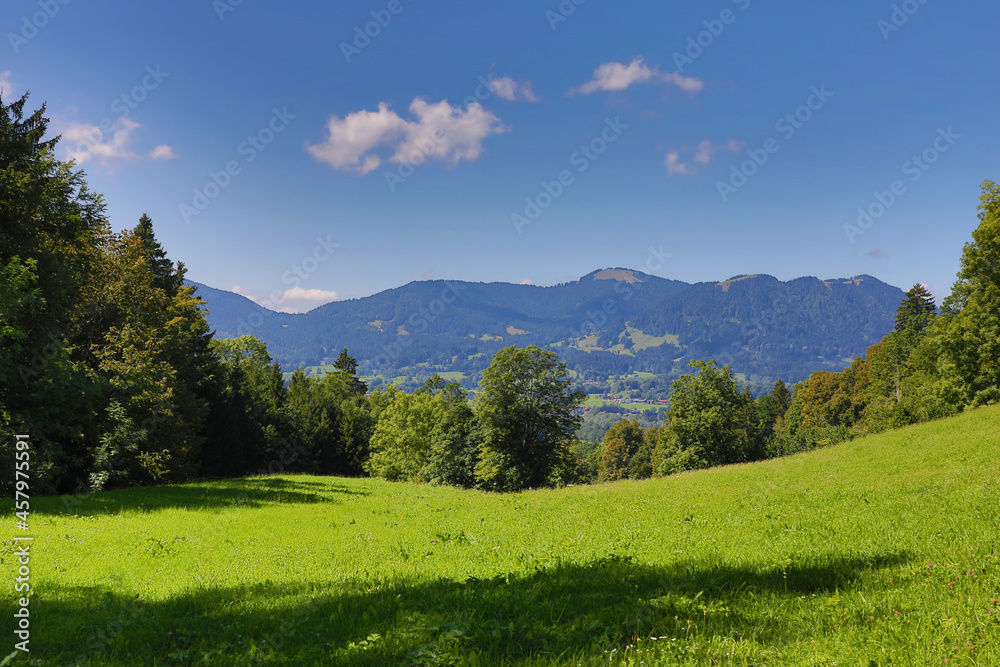 Landscape from bavarian alps with a meadow and mountains in the background