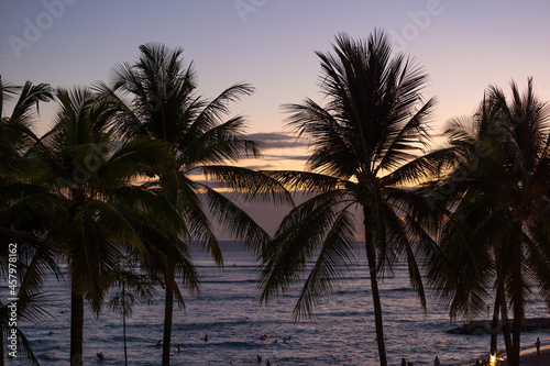 Palm trees at evening sunset in tropical resort