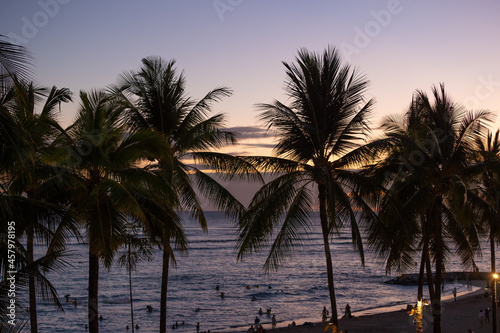 Fototapeta Naklejka Na Ścianę i Meble -  Palm trees at evening sunset in tropical resort