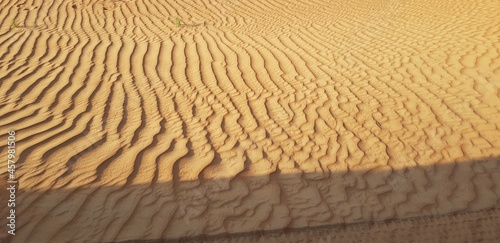 ripples in the sand