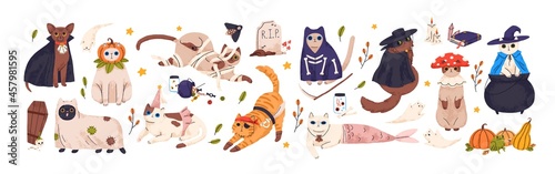 Cute cats in spooky Halloween costumes set. Funny and creepy feline animals in hats for autumn holiday of dead. Scary kitties monsters. Colored flat vector illustration isolated on white background