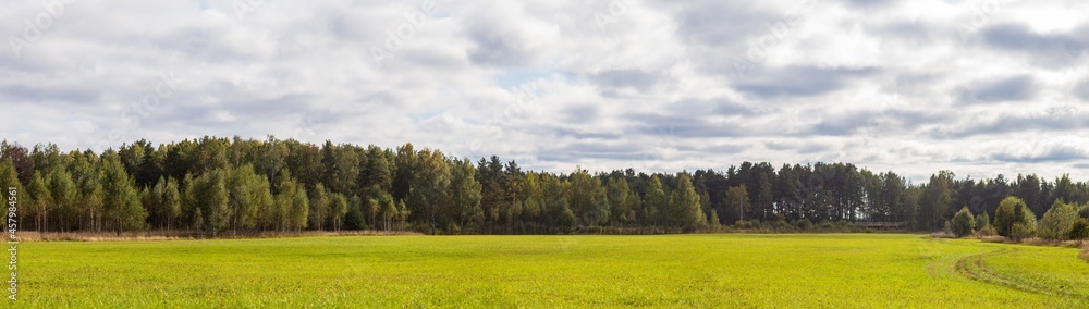 Landscape panorama of meadow with green grass and trees and blue cloudy sky Landscape panorama of meadow with green grass and trees and blue cloudy sky