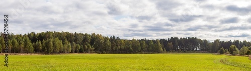Landscape panorama of meadow with green grass and trees and blue cloudy sky