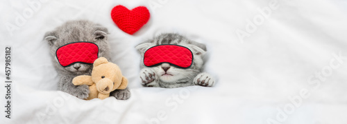 Two cozy kittens sleep together in sleeping mask under blanket on a bed at home. Top down view. Empty space for text