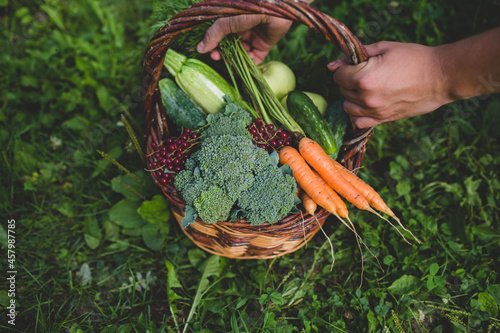 a wooden basket filled by fresh veggies outdoors
