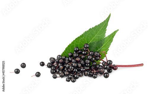 Elder berries isolated on a white background, top view