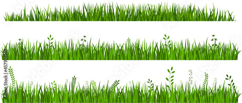 Vector green Grass borders set on white background.