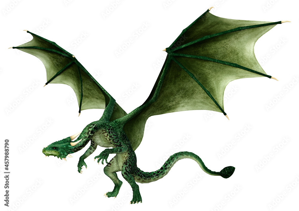 Fototapeta premium 3D Rendering Fairy Tale Dragon on White