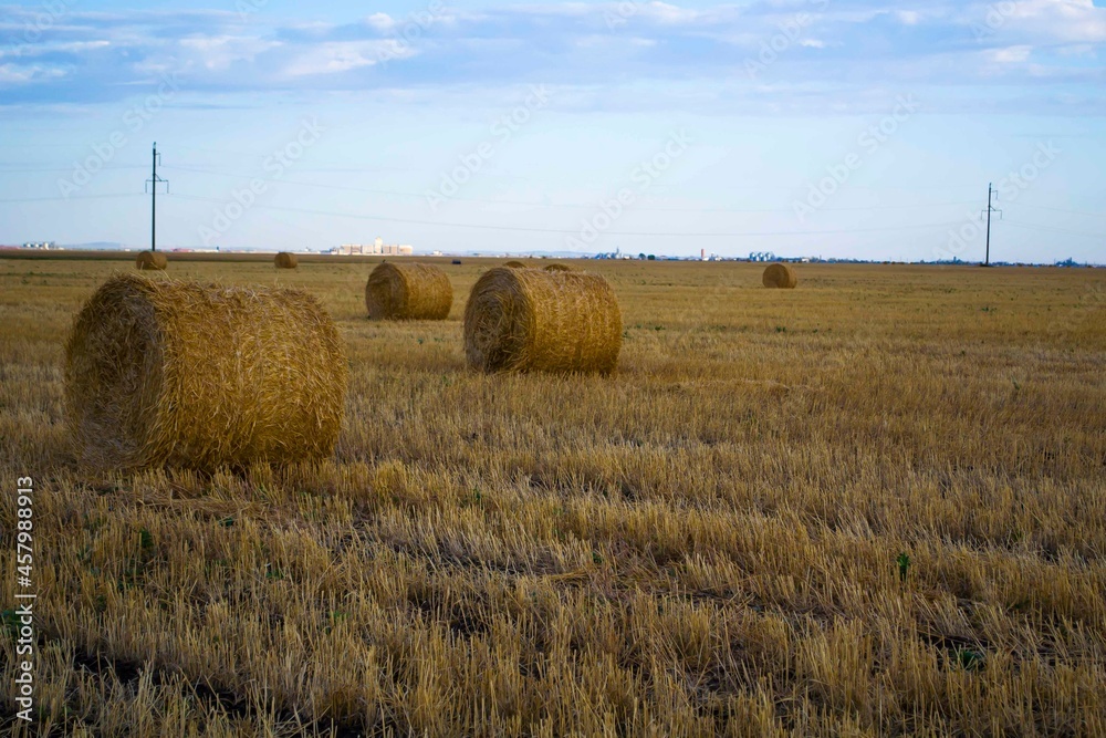Bales of Hay on a Field, Agricultural Scenery of Autumn
