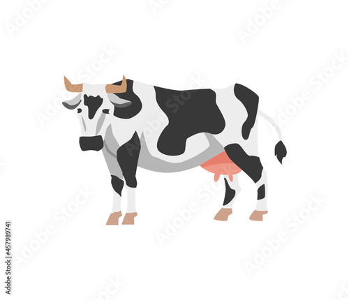 Holstein cow with black and white spots in flat vector illustration isolated