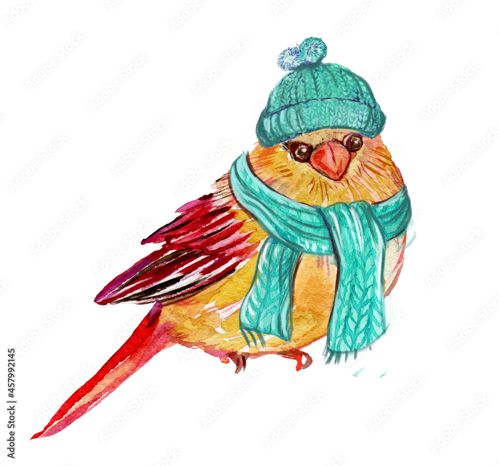  bird in winter, in a hat and scarf illustration for postcards