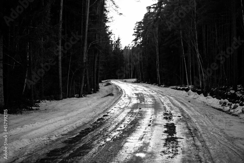 winding forest dirt road in Latvia. Mostly coniferous pine trees. grass on road sides. End of winter or early spring scene. Grey sky, melting ice and snow on roadside. Black and white gloomy version