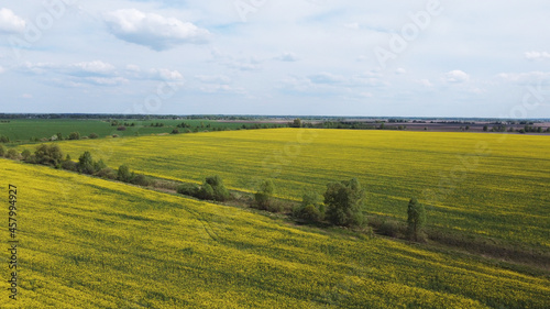 Picturesque rapeseed fields under a cloudy sky. Rape crops in a farm field, aerial view. © Oleksii