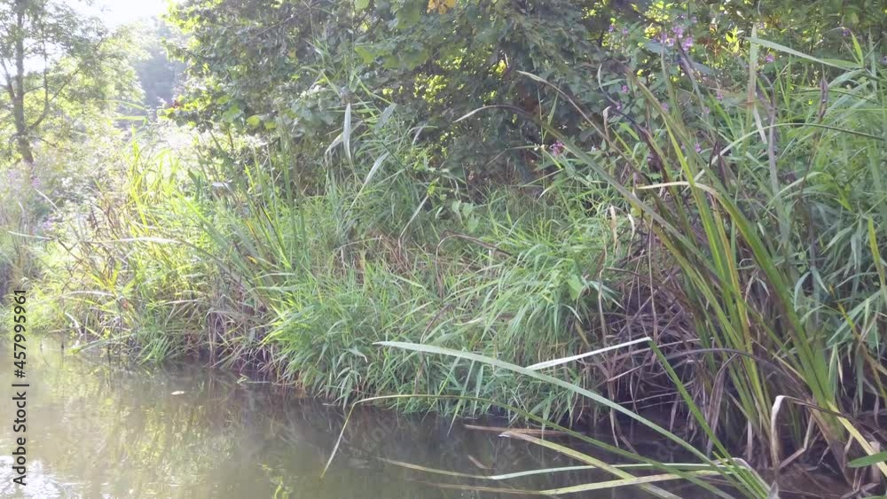 Flussufer an der Fränkischen Saale Flussufer an der Fränkischen Saale