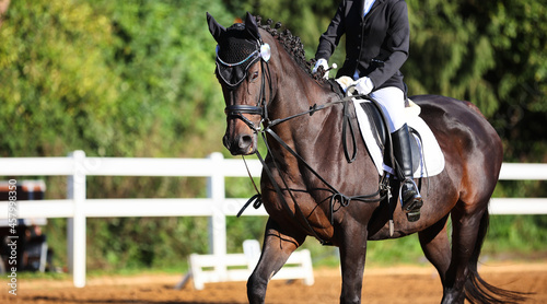 Dressage horse with rider in close-up during a test at a dressage tournament..