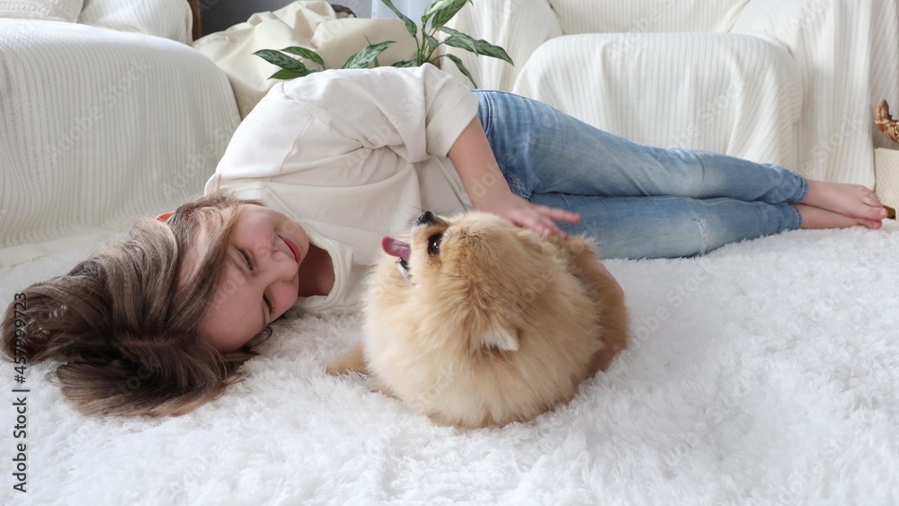 Little girl playing with pomeranian spitz puppy. Cute fluffy small dog. Loving owner with his domestic pet.