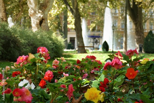 City park Zrinjevac with flowers  fountain and trees