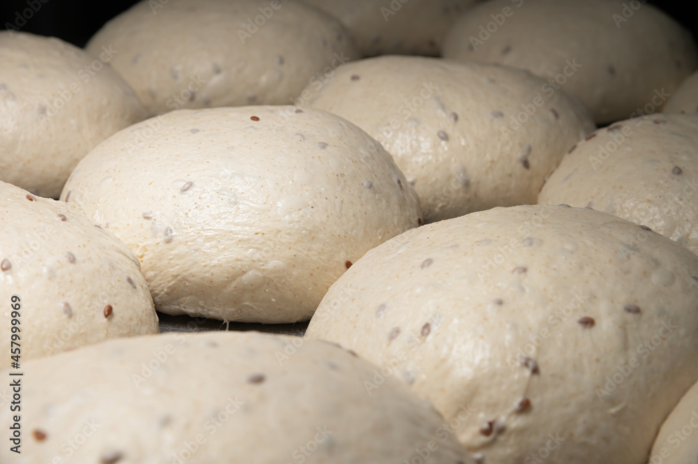 The uncooked round buns of dough are placed on a metal tray. Hamburger bun dough The uncooked round buns of dough are placed on a metal tray. Hamburger bun dough