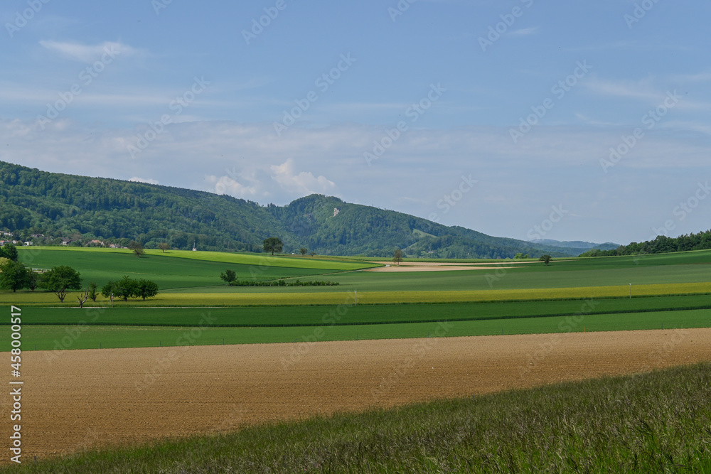 Mariastein, Metzerlen, Dorf, Felder, Landwirtschaft, Kloster, Wallfahrt, Wanderweg, Kanton Solothurn, Sommer, Schweiz	
