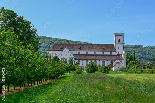 Mariastein, Kloster, Landwirtschaft, Felder, Obstbäume, Wanderweg, Spazierweg, Kloster Mariastein, Dorf, Obstbauer, Sommer, Schweiz