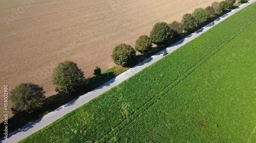 Aerial footage diagonal dolly shot of silver car on an idyllic tree lined avenue in rural landscape photo