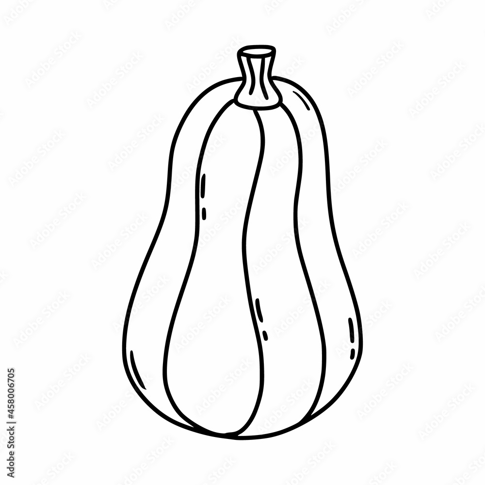 Drawing pumpkin in doodle style. Coloring book with vegetables for children. Linear vector illustration. Drawing pumpkin in doodle style. Coloring book with vegetables for children. Linear vector illustration.