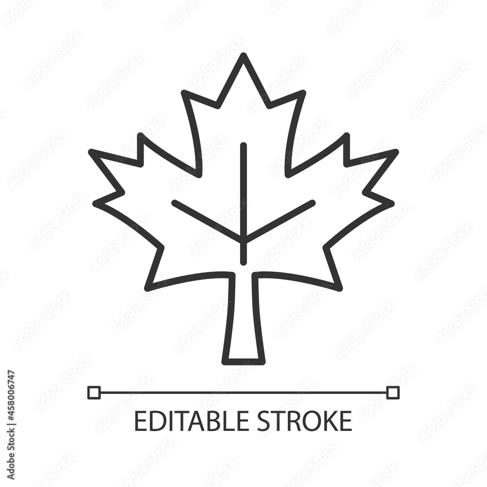 Maple leaf linear icon. Historic landmark. Central element of canadian