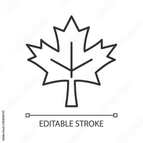 Maple leaf linear icon. Historic landmark. Central element of canadian national flag. Thin line customizable illustration. Contour symbol. Vector isolated outline drawing. Editable stroke