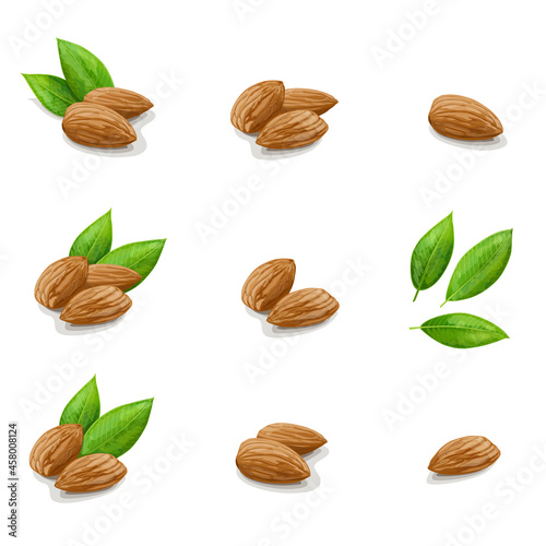 Big set of Almonds with leaves on white background. Vector Illustration.