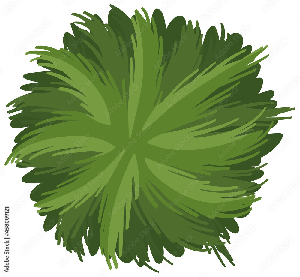 Aerial view of a green bush isolated on white background Aerial view of a green bush isolated on white background