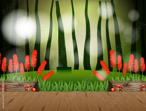 Empty nature landscape scene with blur background