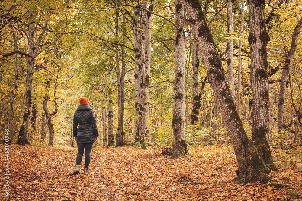 Woman walking alone in the autumnal park Woman walking alone in the autumnal park