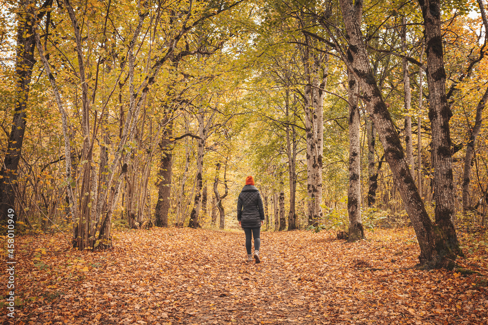 Woman walking alone in the autumnal park