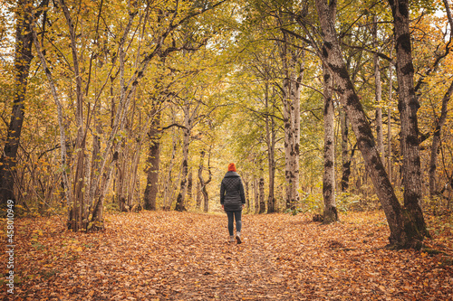 Woman walking alone in the autumnal park © candy1812