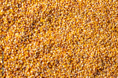 Bulk corn kernels. Peeled corn background. High quality photo © Dubnytskaya Photo