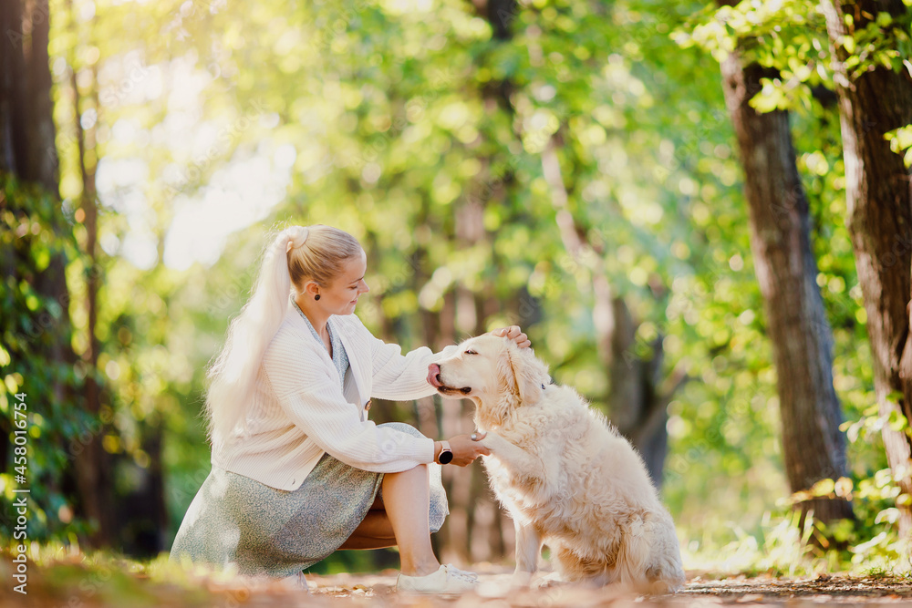 Dog give me paw, training owner woman and golden retriever in autumn park Dog give me paw, training owner woman and golden retriever in autumn park